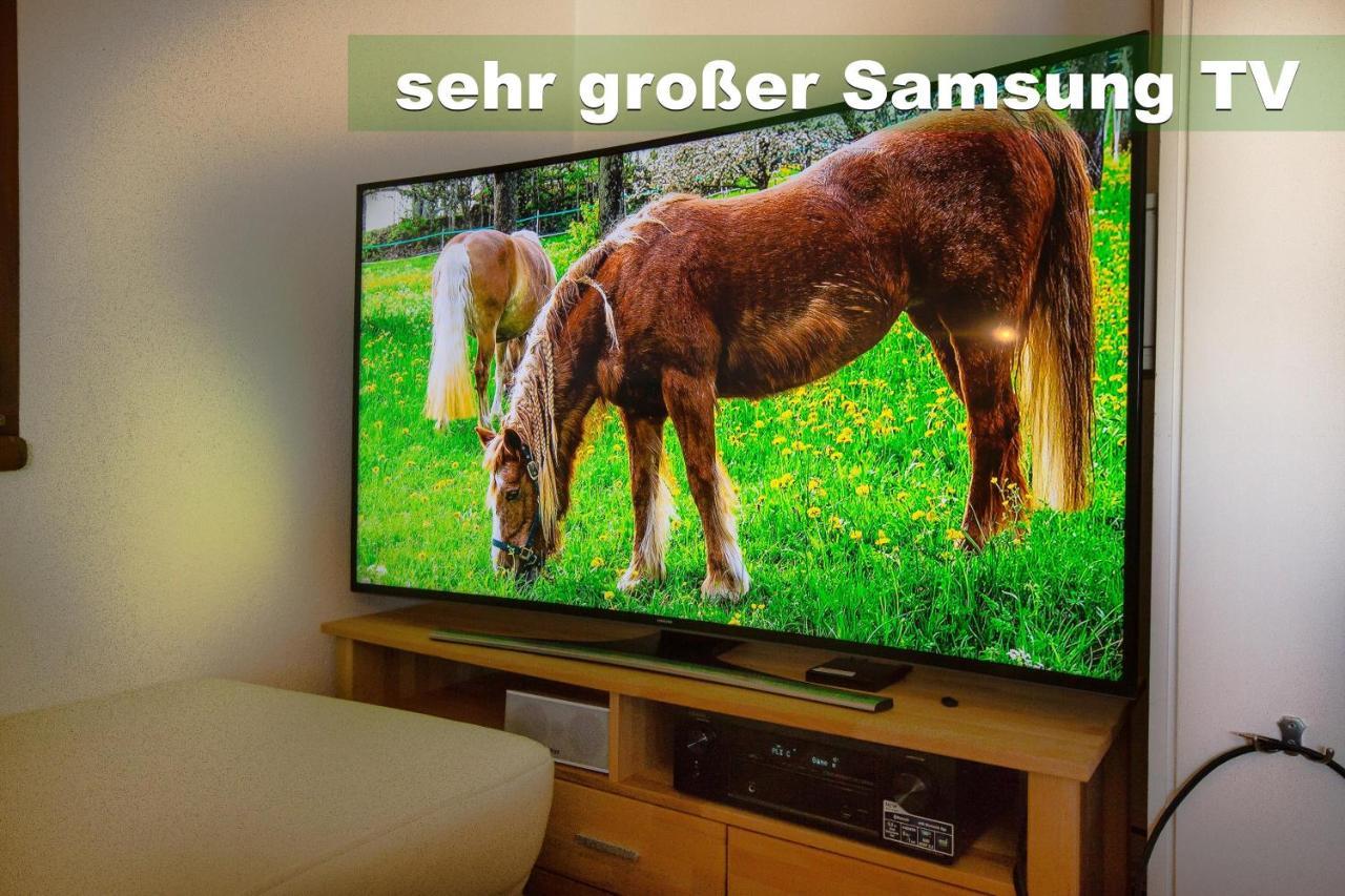 Wohlfuehl-Ferienwohnung 80 Qm, 8 Personen, Aussicht & Heimkino Todtnau Ngoại thất bức ảnh